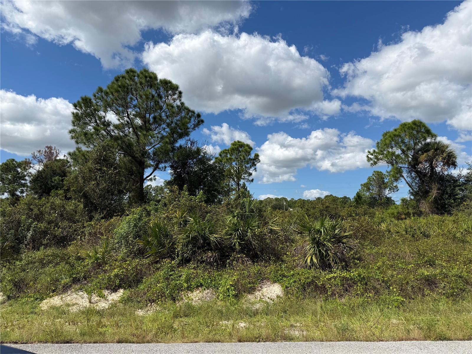 1203 PLUMOSA AVENUE, #3, Lehigh Acres, FL 33972