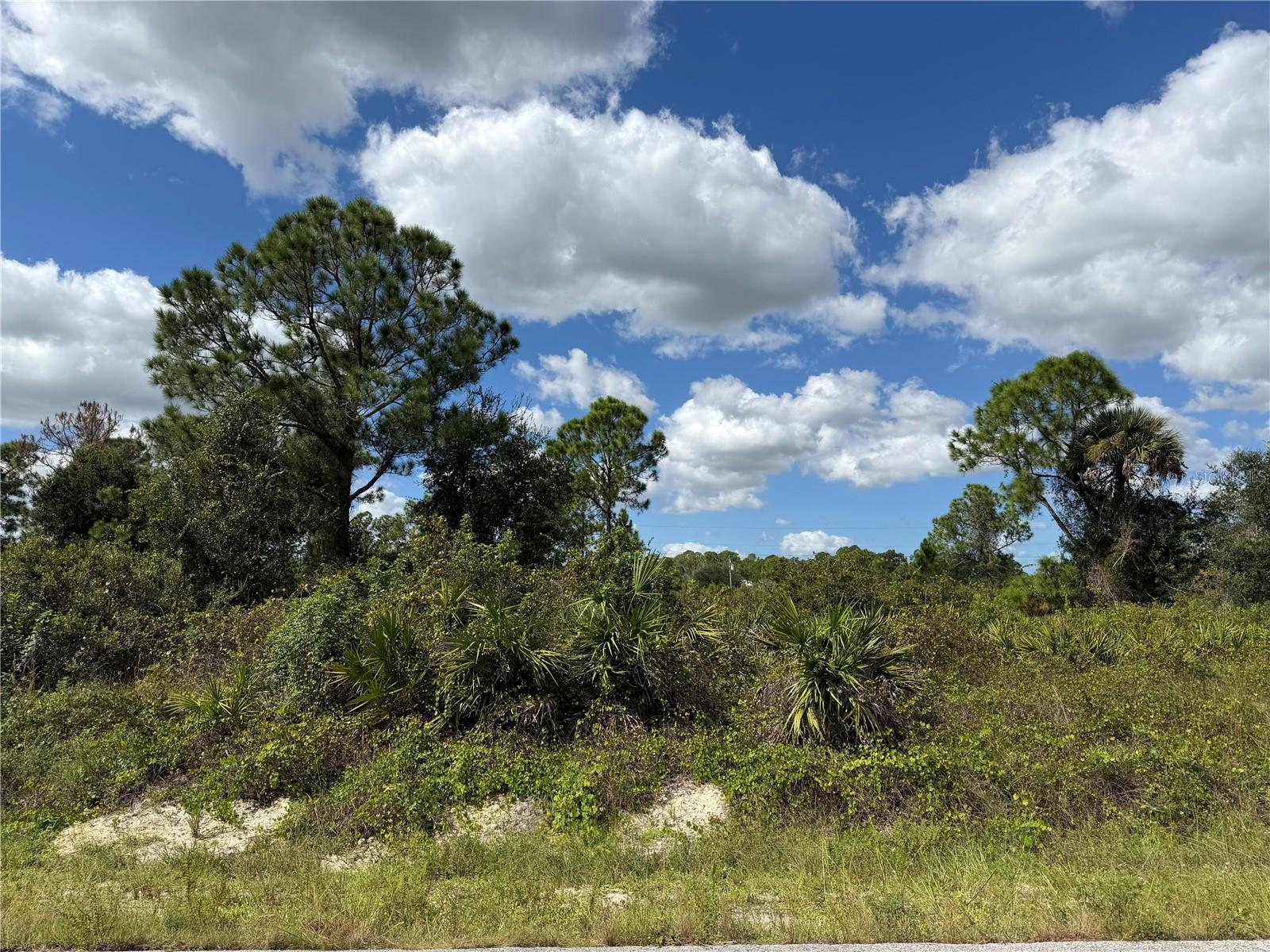 1203 PLUMOSA AVENUE, #3, Lehigh Acres, FL 33972