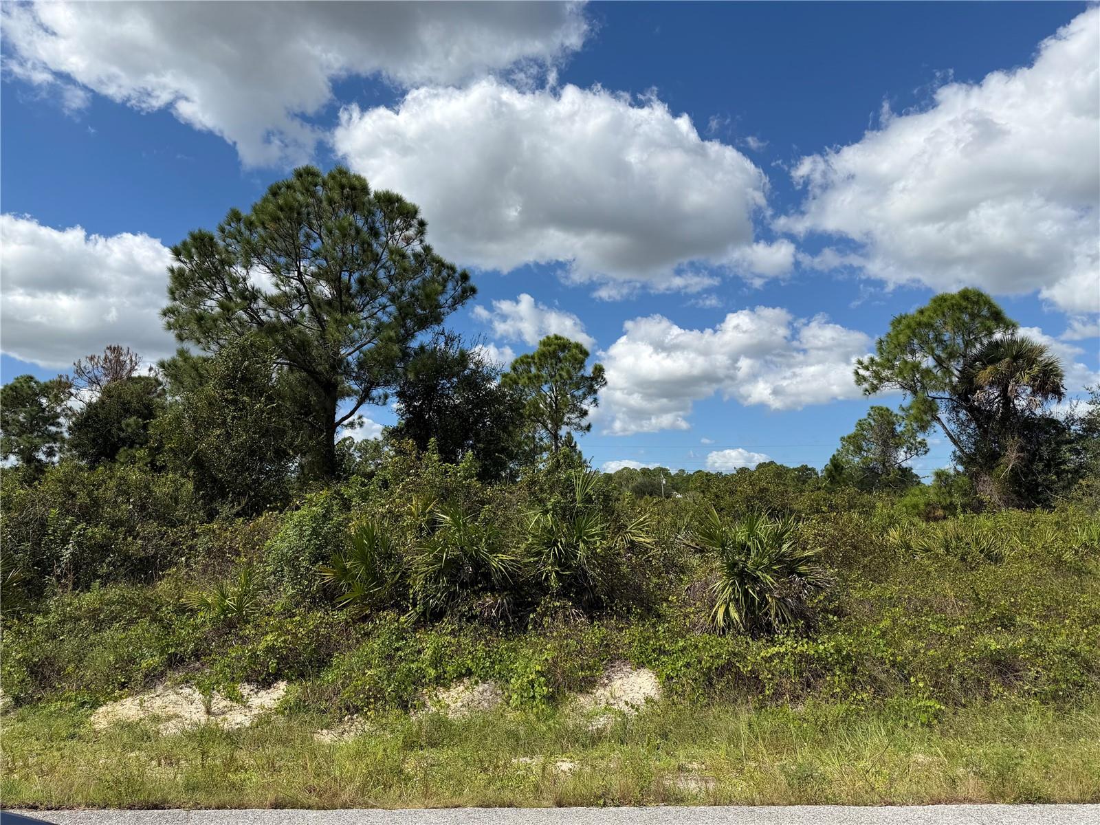 1203 PLUMOSA AVENUE, #3, Lehigh Acres, FL 33972