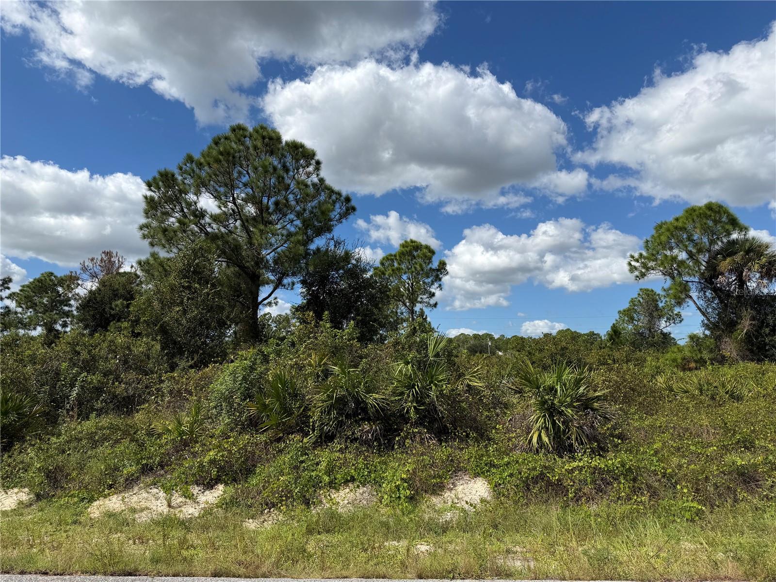 1203 PLUMOSA AVENUE, #3, Lehigh Acres, FL 33972