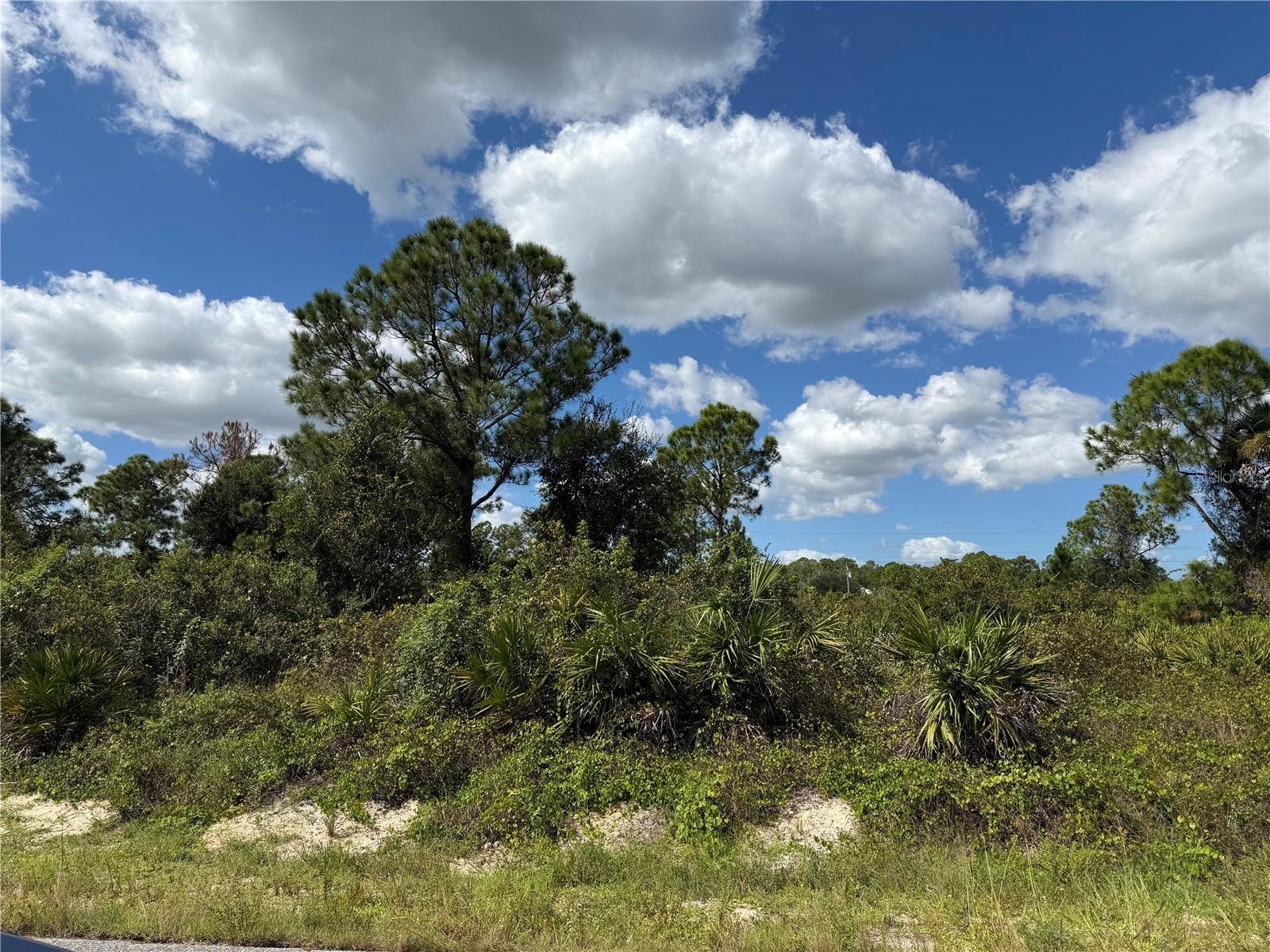 1203 PLUMOSA AVENUE, #3, Lehigh Acres, FL 33972