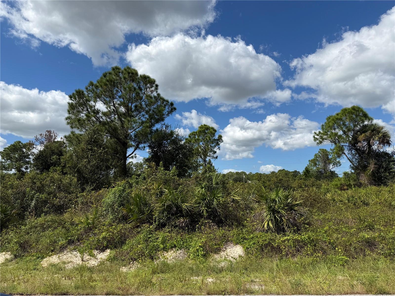 1203 PLUMOSA AVENUE, #3, Lehigh Acres, FL 33972