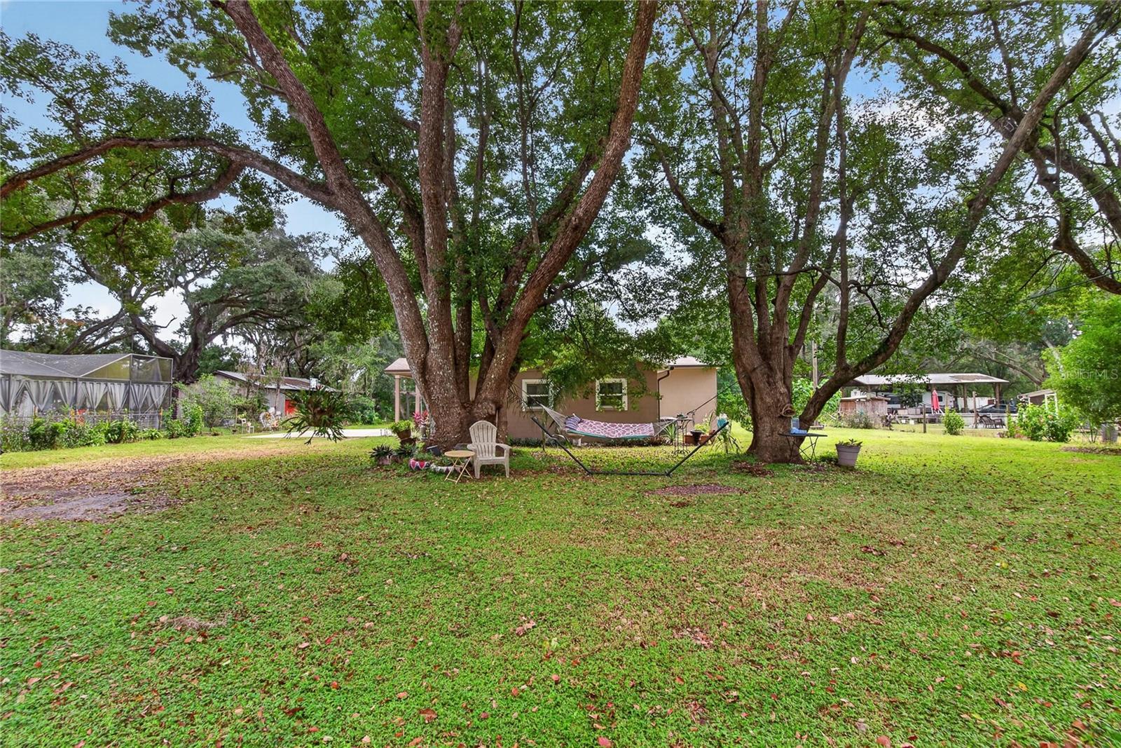 3138 DRUM ROAD, Zephyrhills, FL 33541