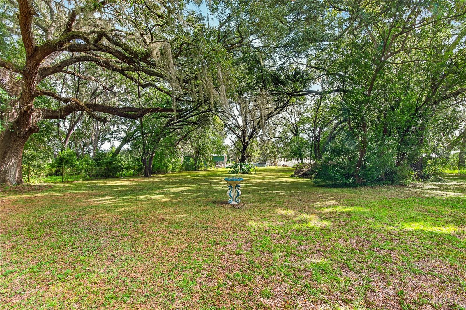3138 DRUM ROAD, Zephyrhills, FL 33541