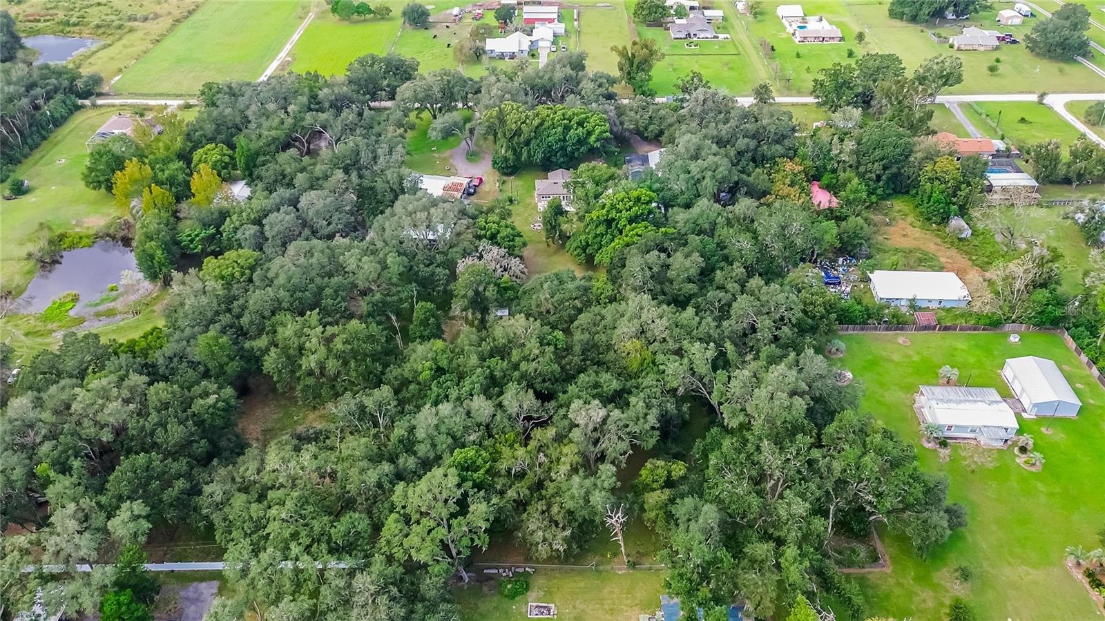 3138 DRUM ROAD, Zephyrhills, FL 33541