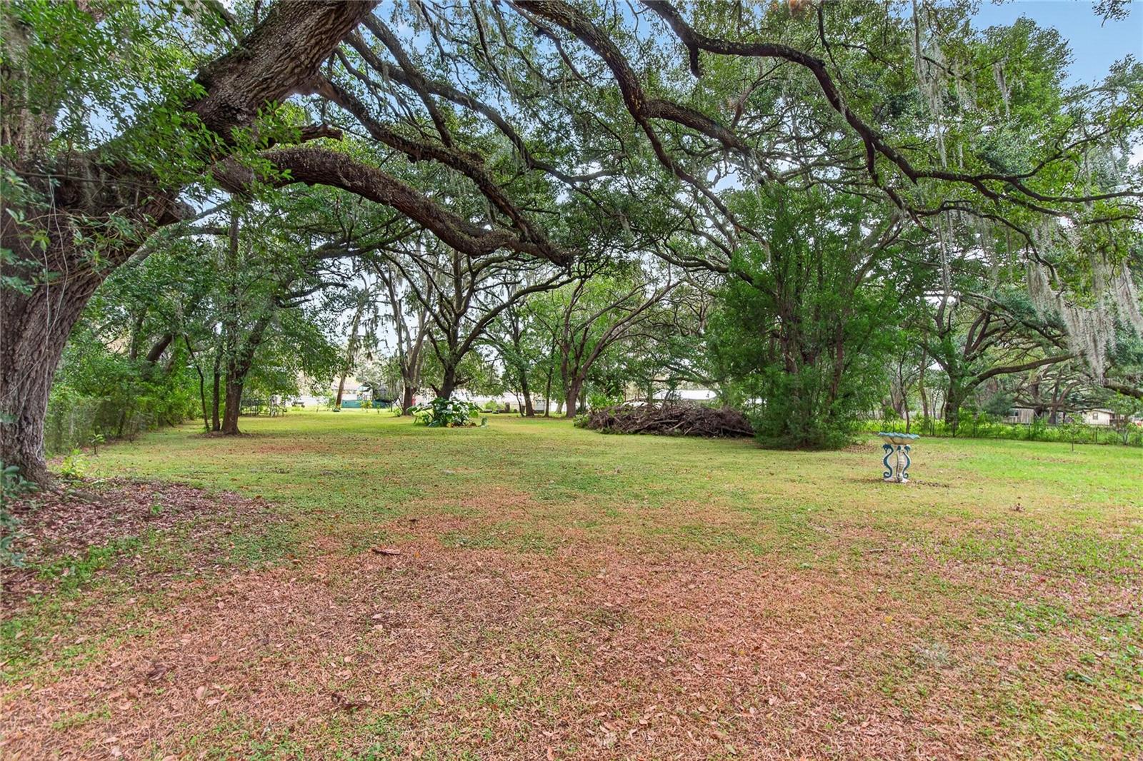 3138 DRUM ROAD, Zephyrhills, FL 33541