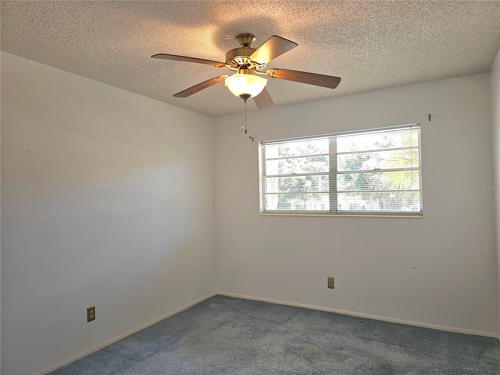 2386 SUMATRAN WAY, #44, Clearwater, FL 33763