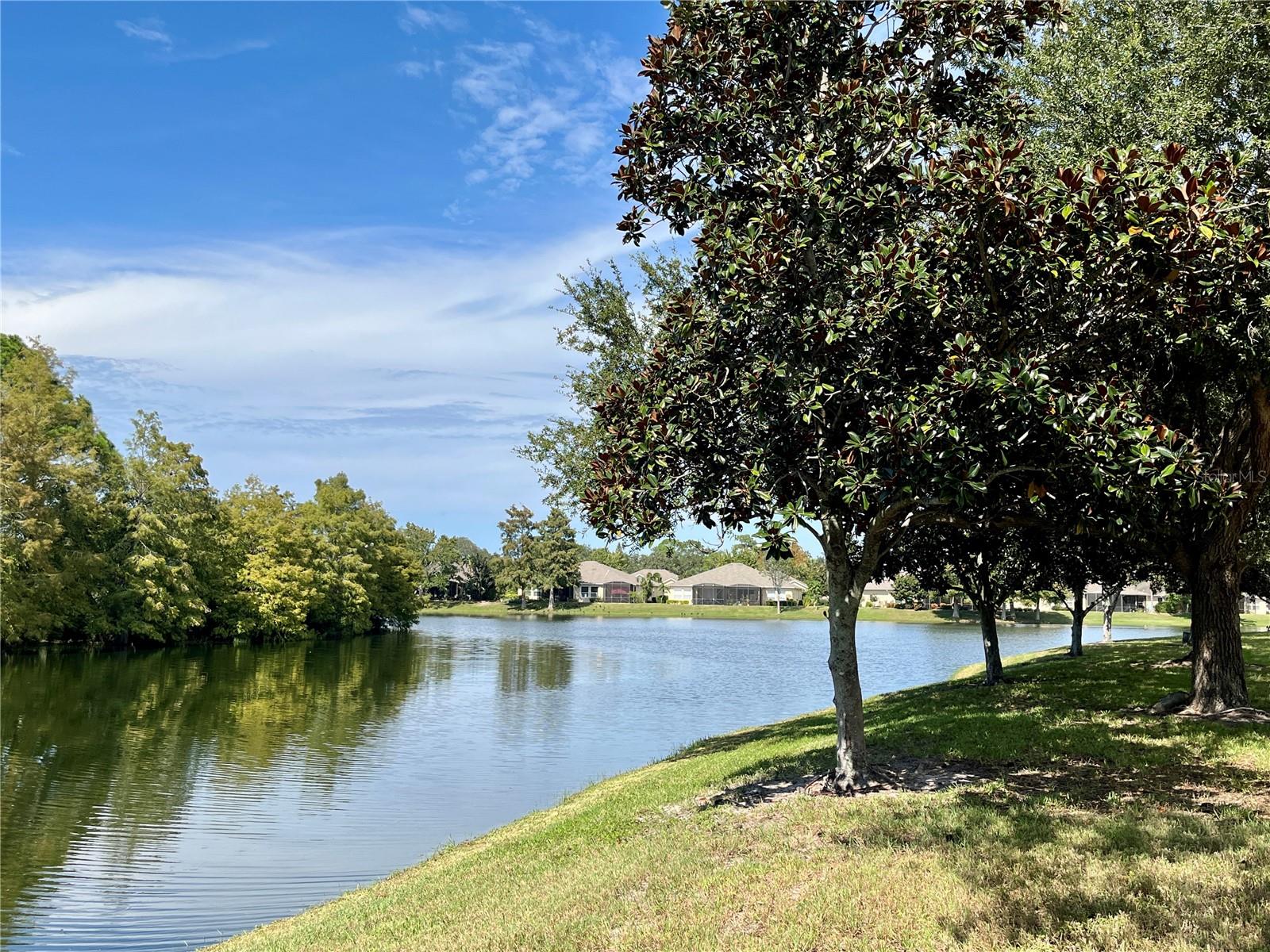 1040 ORCA COURT, Holiday, FL 34691