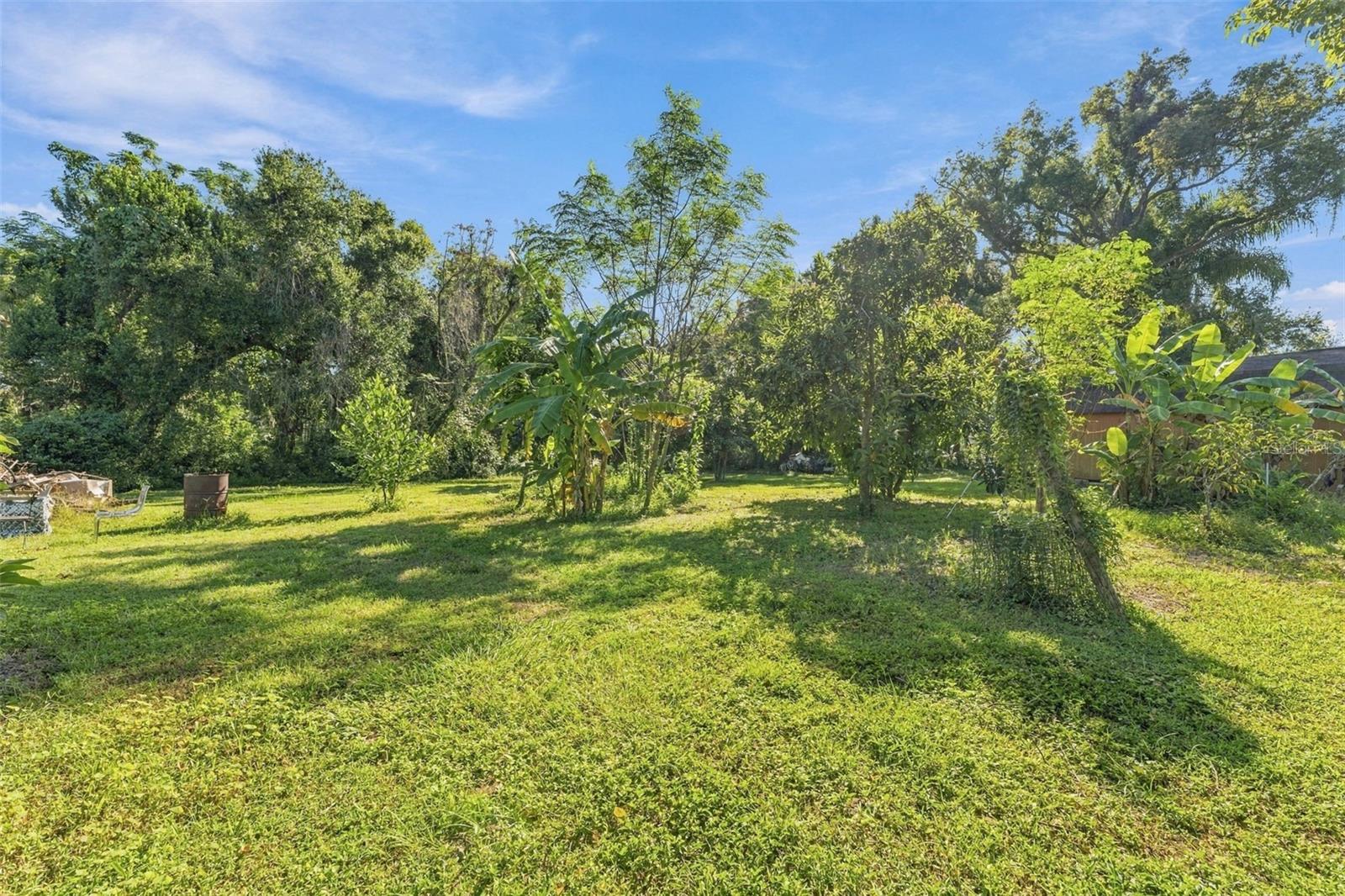 7203 N 13TH STREET, Tampa, FL 33604