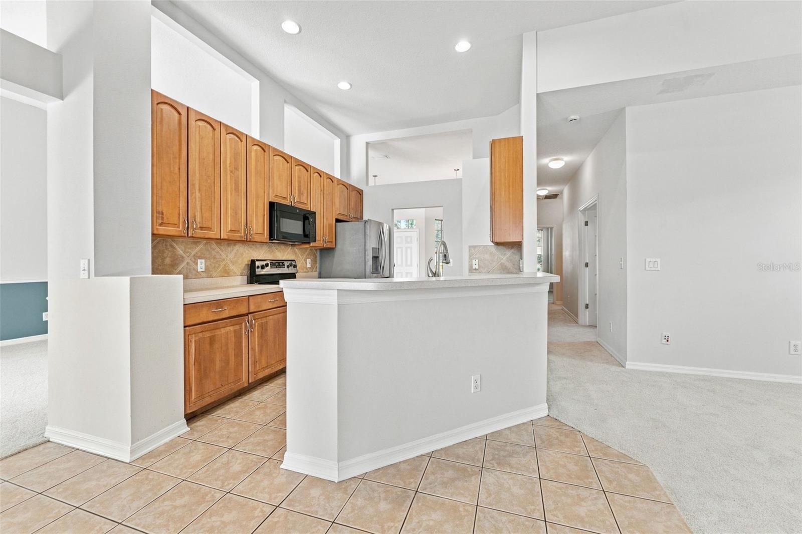 11617 GROVE ARCADE DRIVE, Riverview, FL 33569