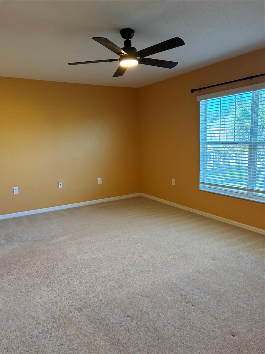 20105 WEEPING LAUREL PLACE, Tampa, FL 33647