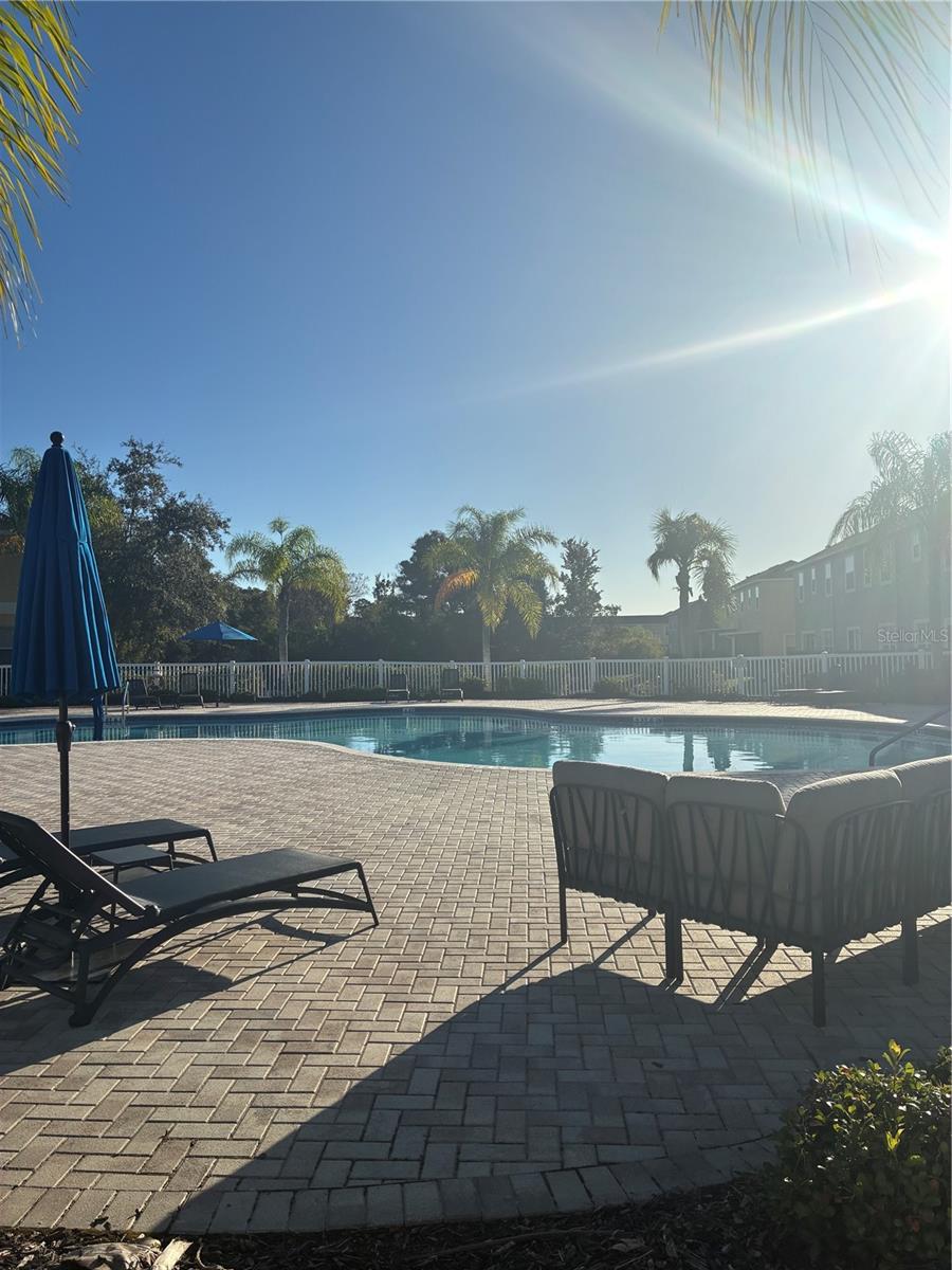 20105 WEEPING LAUREL PLACE, Tampa, FL 33647