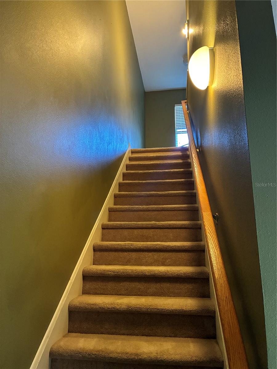 20105 WEEPING LAUREL PLACE, Tampa, FL 33647
