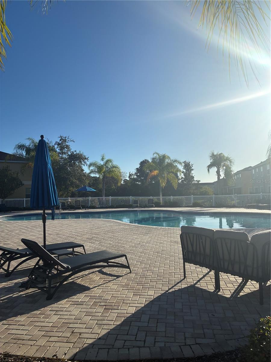 20105 WEEPING LAUREL PLACE, Tampa, FL 33647