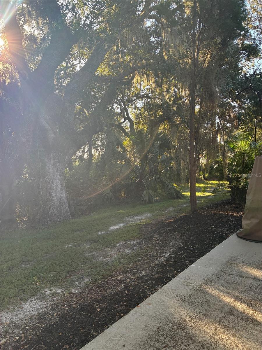 20105 WEEPING LAUREL PLACE, Tampa, FL 33647