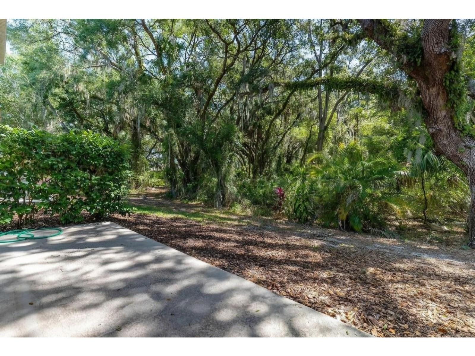 20105 WEEPING LAUREL PLACE, Tampa, FL 33647