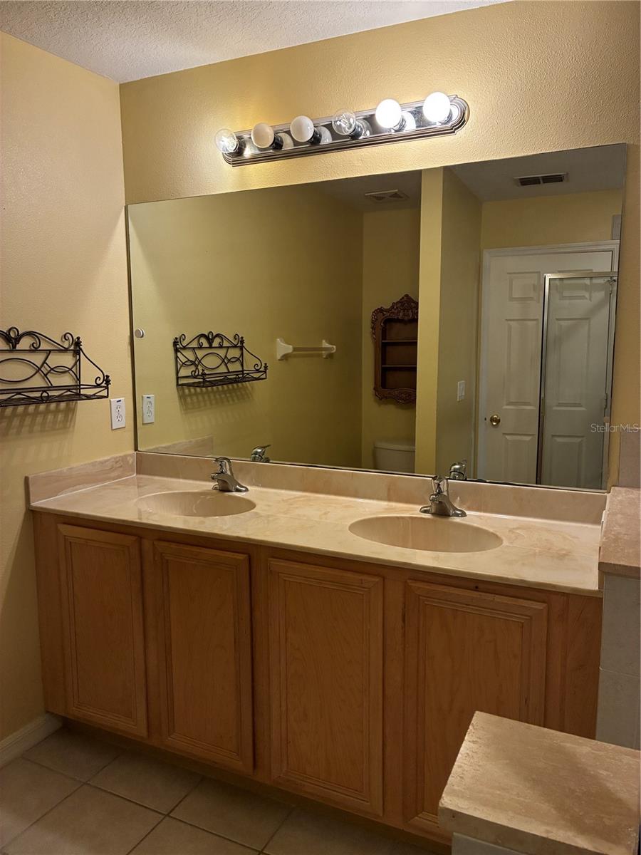 20105 WEEPING LAUREL PLACE, Tampa, FL 33647