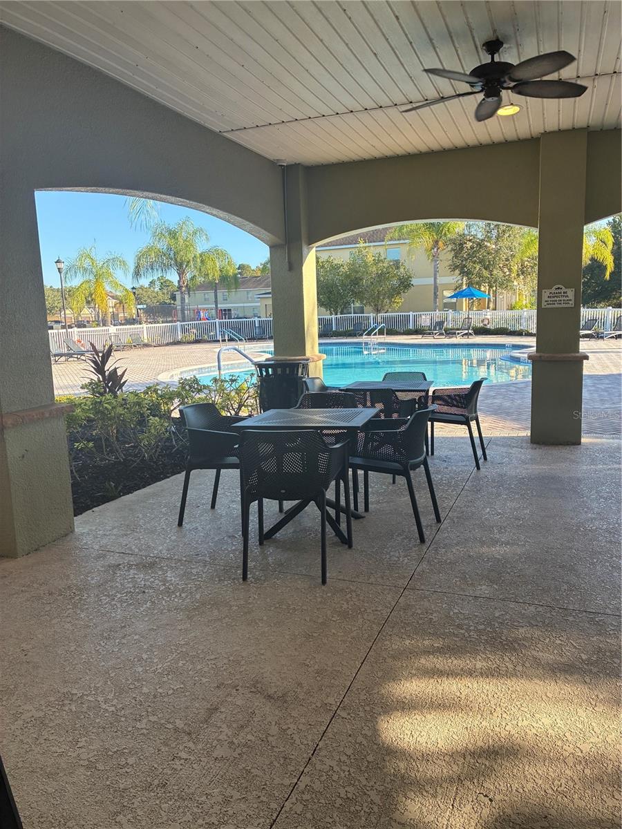 20105 WEEPING LAUREL PLACE, Tampa, FL 33647