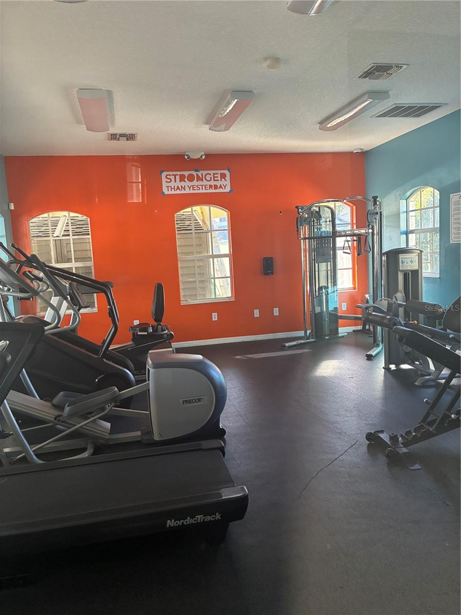 20105 WEEPING LAUREL PLACE, Tampa, FL 33647