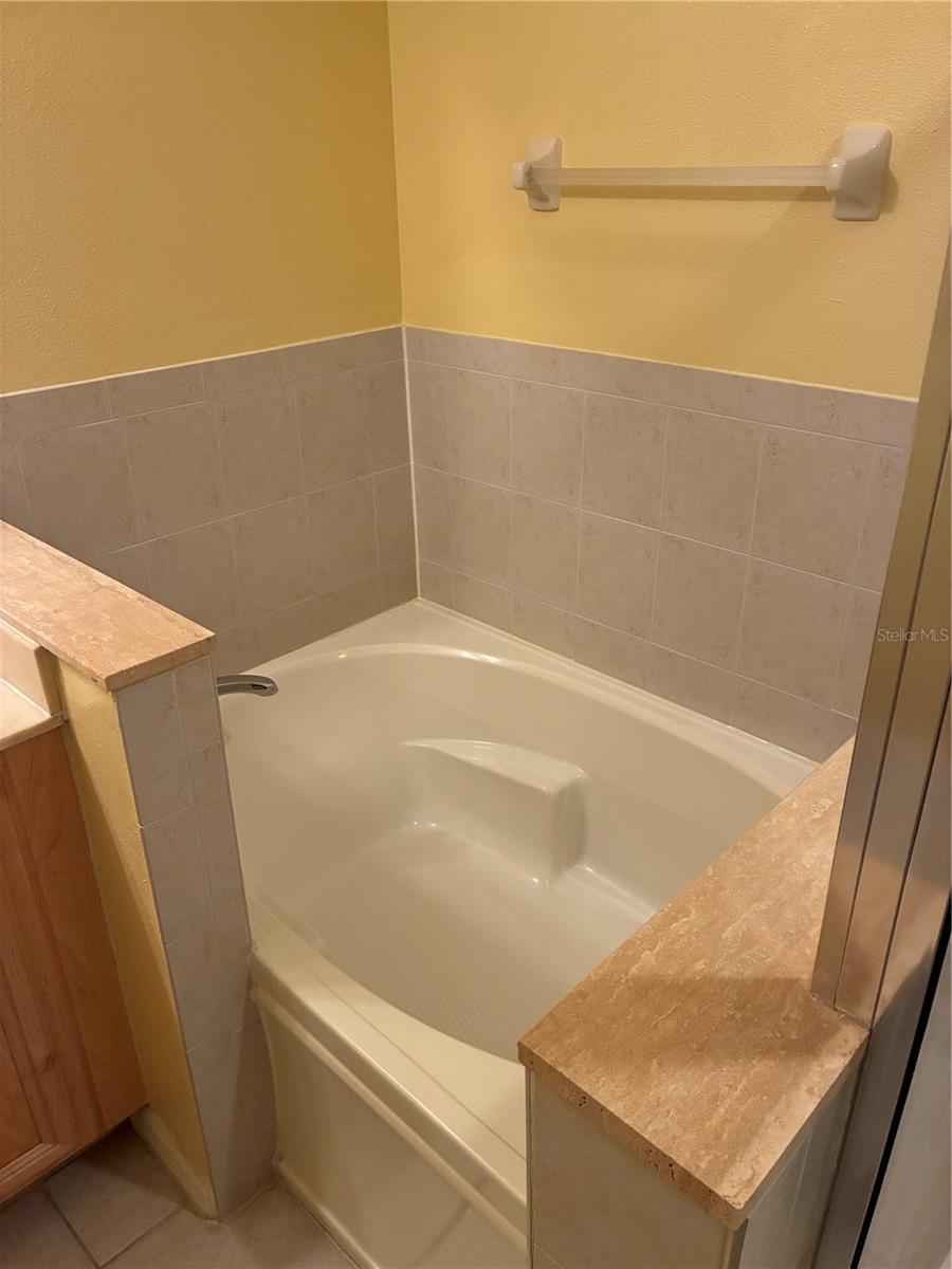 20105 WEEPING LAUREL PLACE, Tampa, FL 33647
