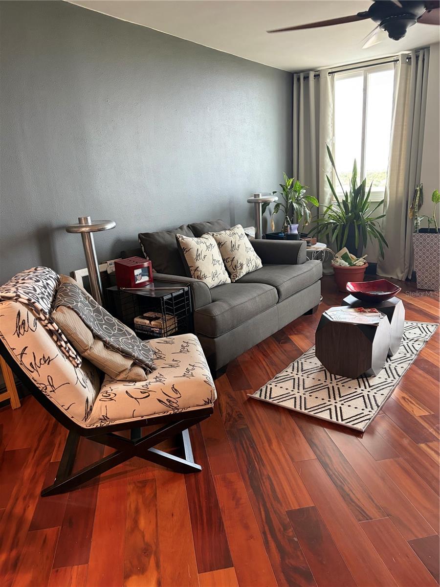 925 N HALIFAX AVENUE, #909, Daytona Beach, FL 32118
