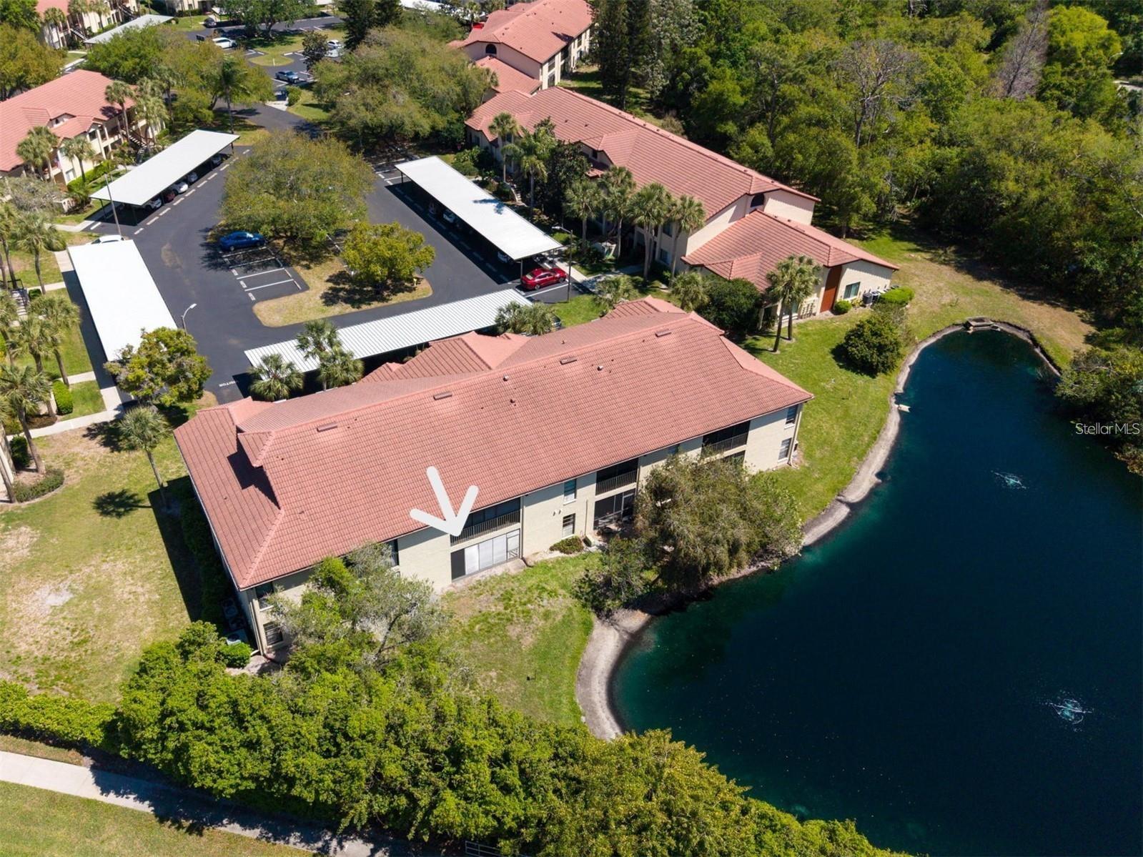 1801 E LAKE ROAD, #20C, Palm Harbor, FL 34685