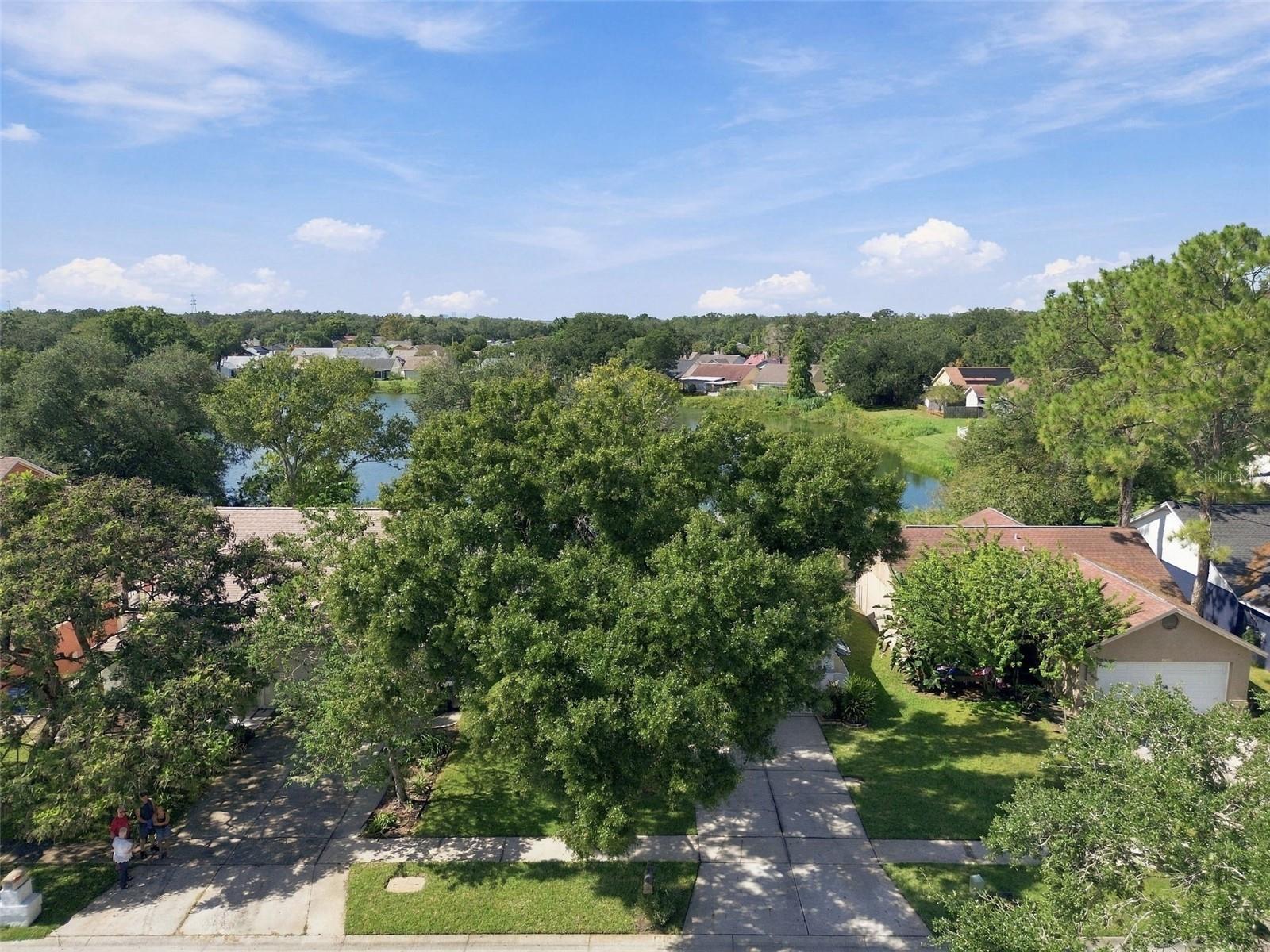 1710 TARAH TRACE DR, Brandon, FL 33510