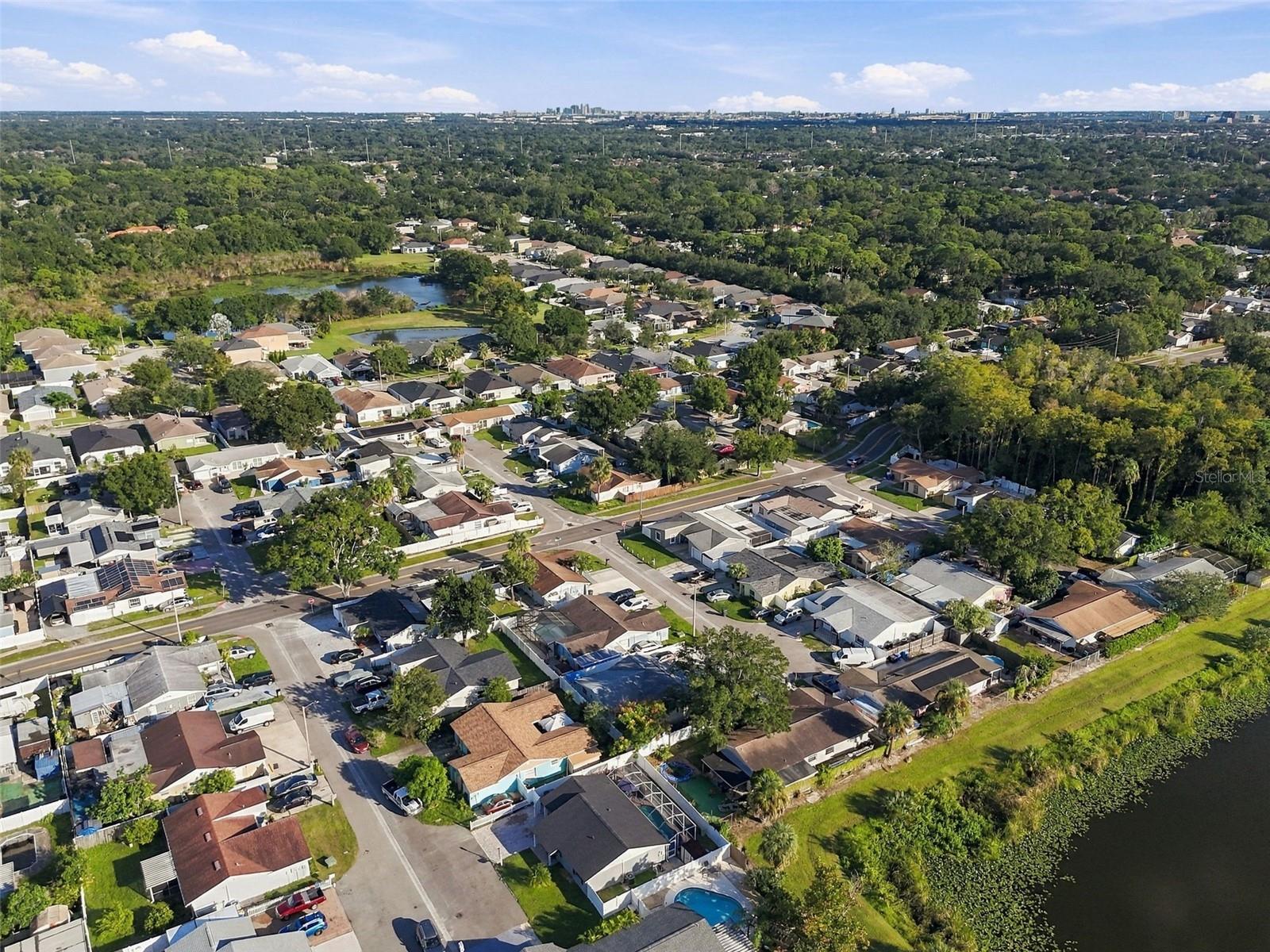 10118 WHEATLEY HILLS COURT, Tampa, FL 33615