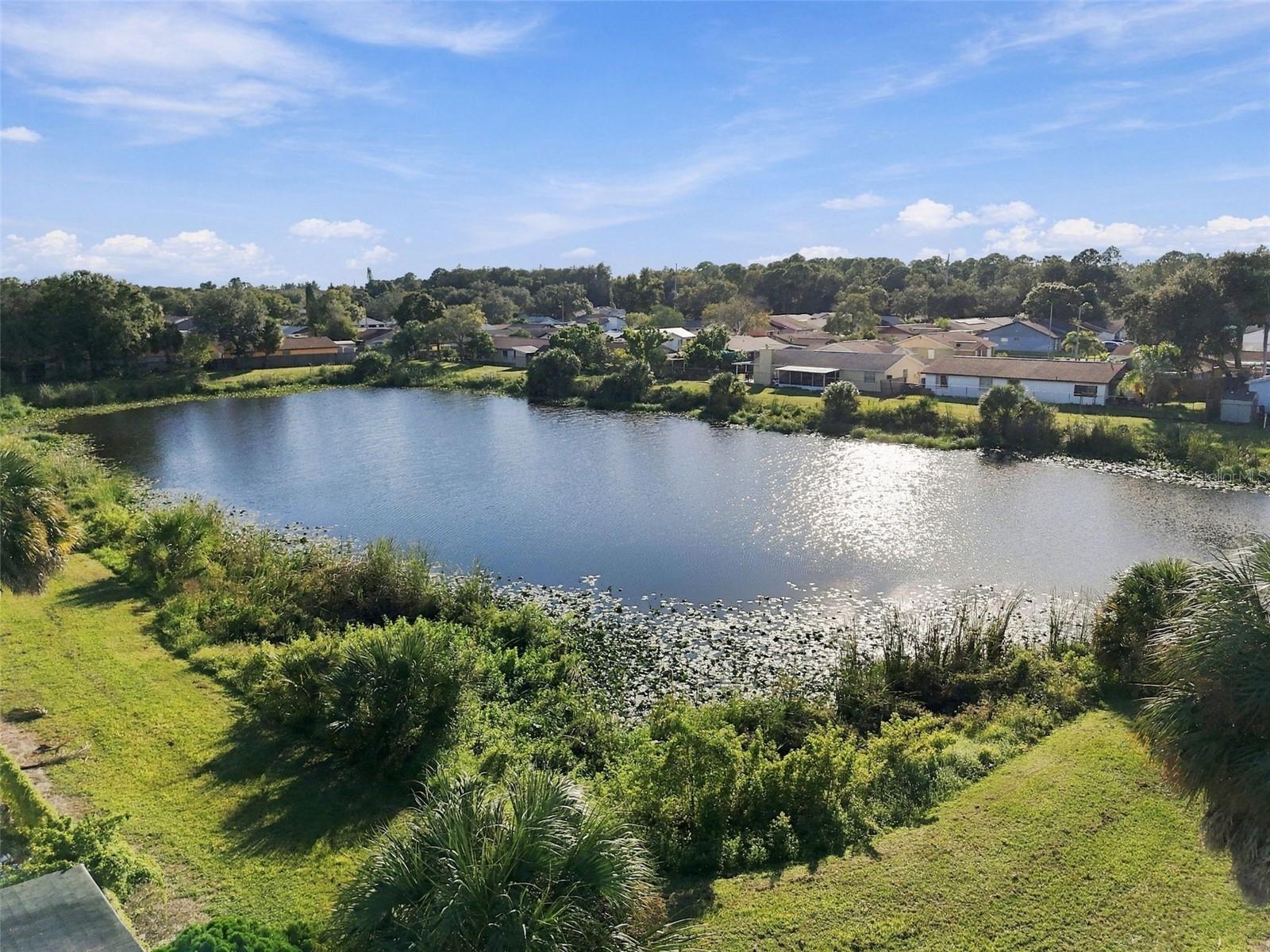 10118 WHEATLEY HILLS COURT, Tampa, FL 33615