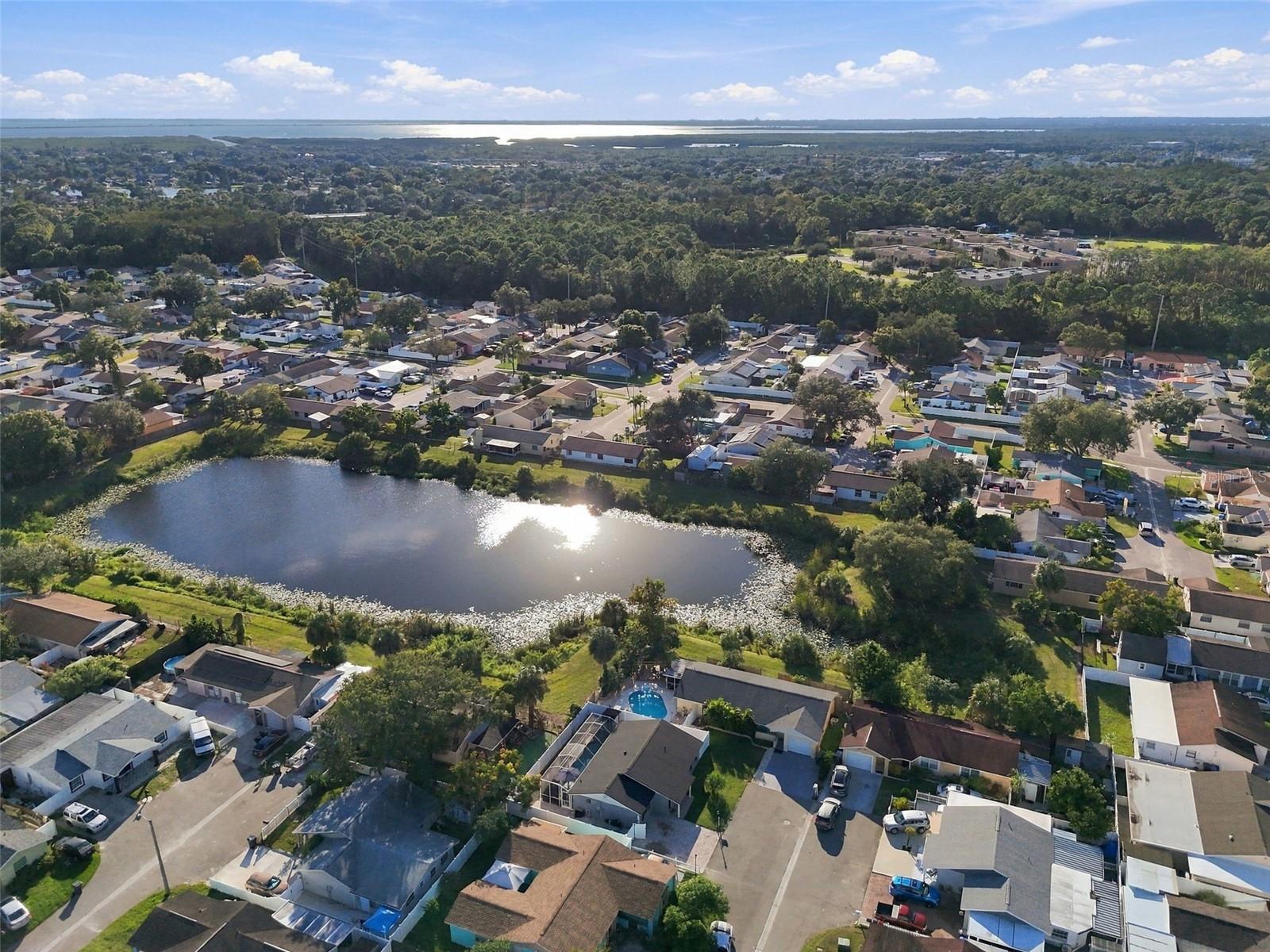 10118 WHEATLEY HILLS COURT, Tampa, FL 33615