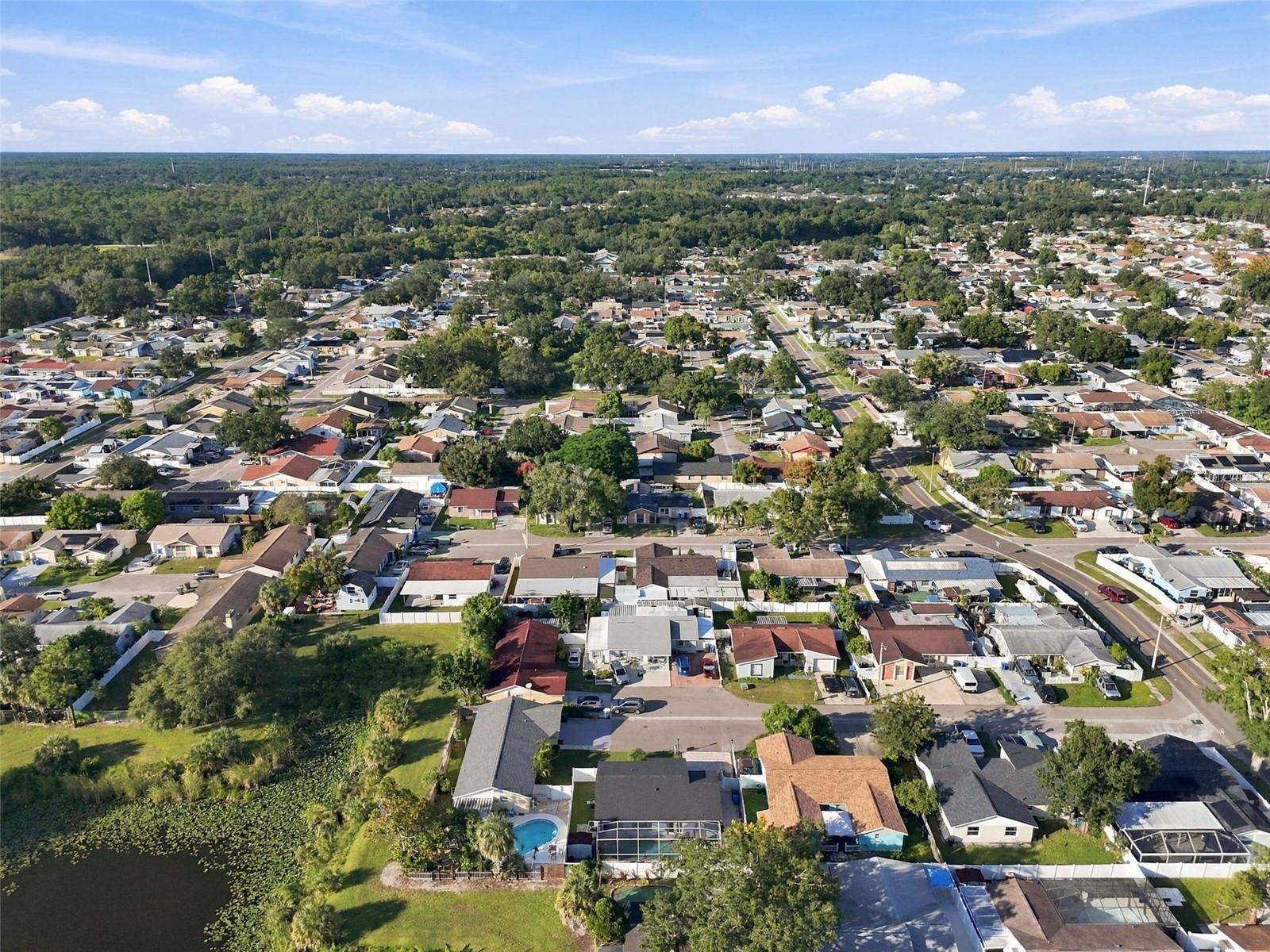 10118 WHEATLEY HILLS COURT, Tampa, FL 33615