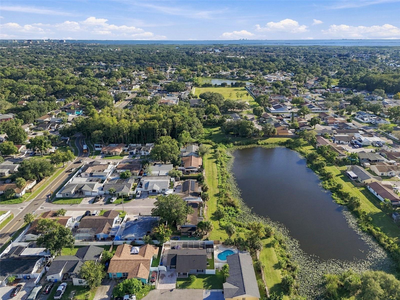 10118 WHEATLEY HILLS COURT, Tampa, FL 33615