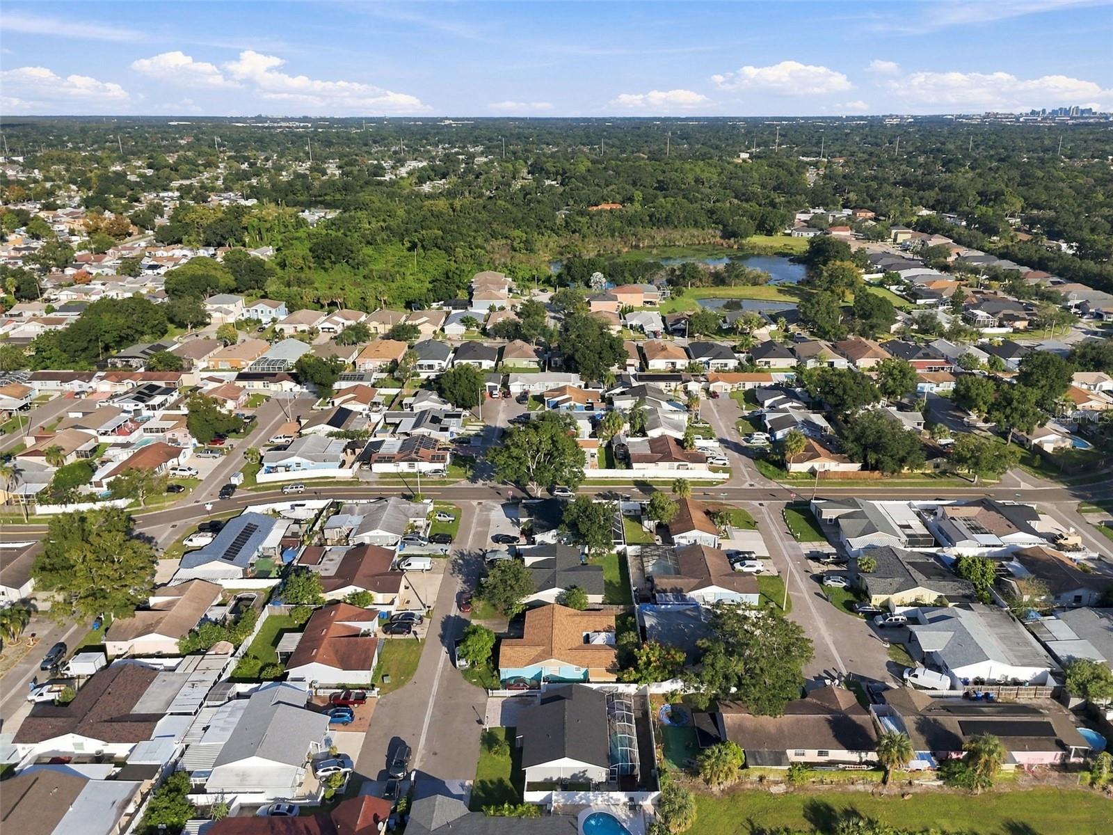 10118 WHEATLEY HILLS COURT, Tampa, FL 33615