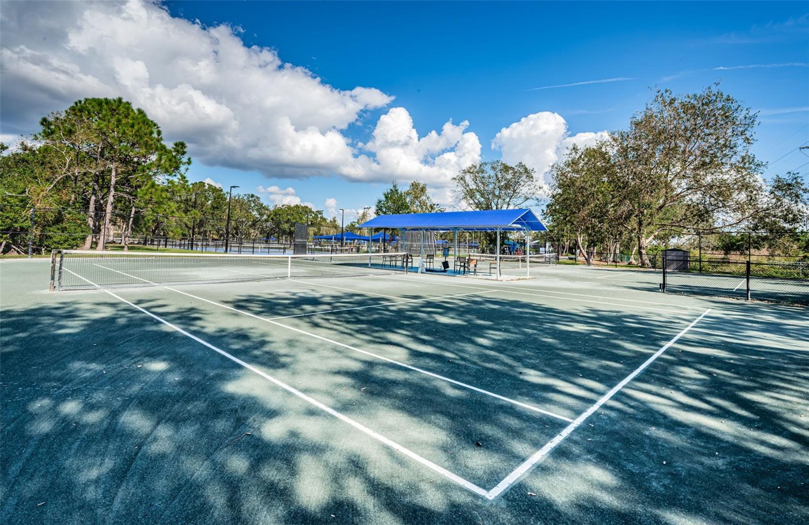 1829 FOXBORO COURT, Oldsmar, FL 34677