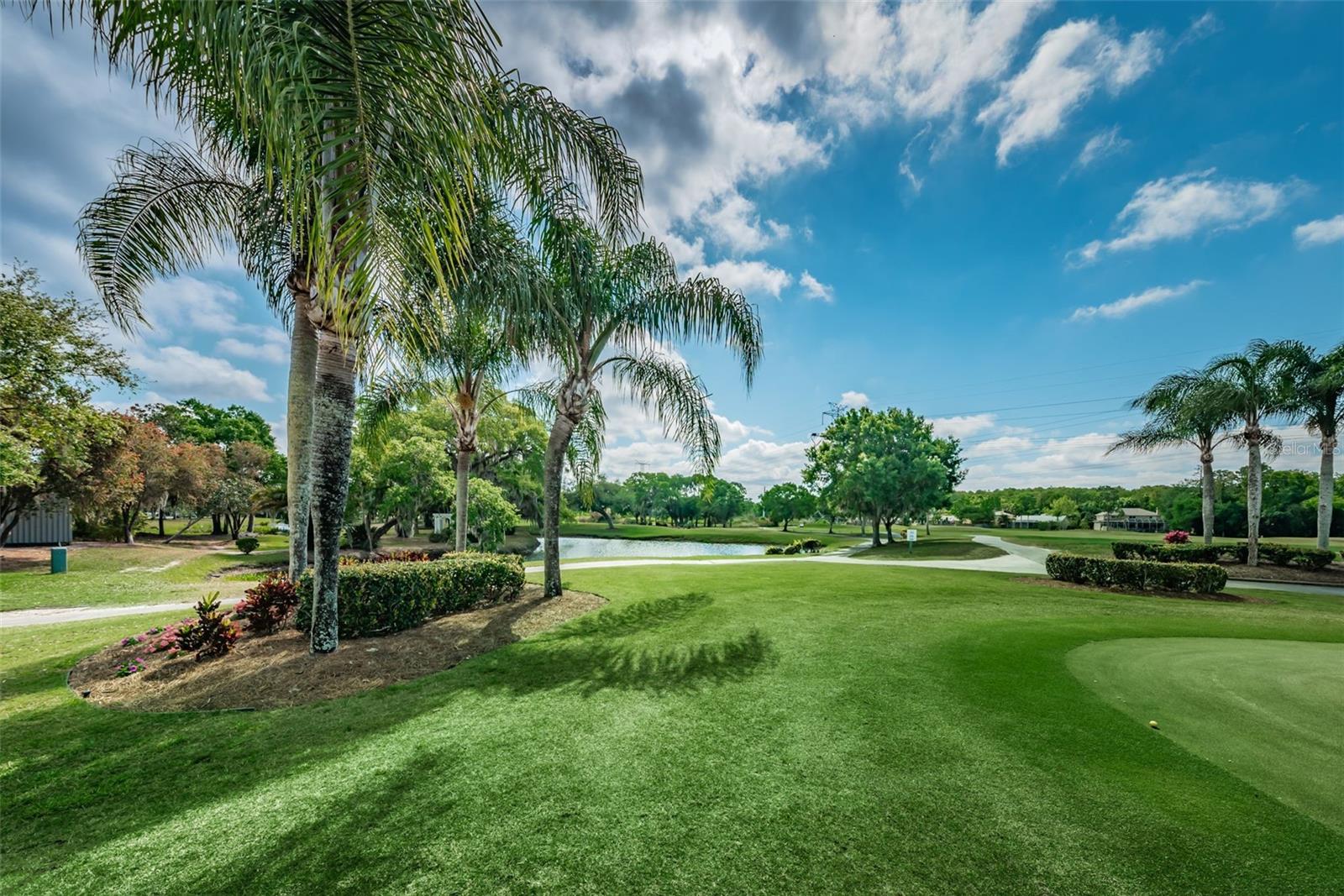 1829 FOXBORO COURT, Oldsmar, FL 34677