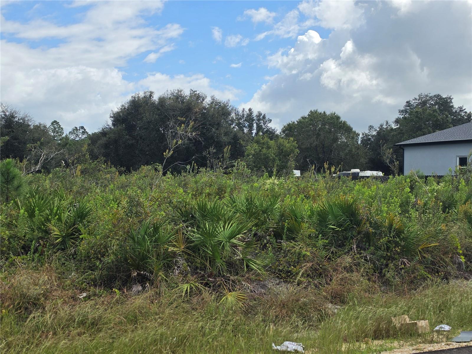 1514 RICHMOND AVENUE N, Lehigh Acres, FL 33972 1514 RICHMOND AVENUE N, Lehigh Acres, FL 33972