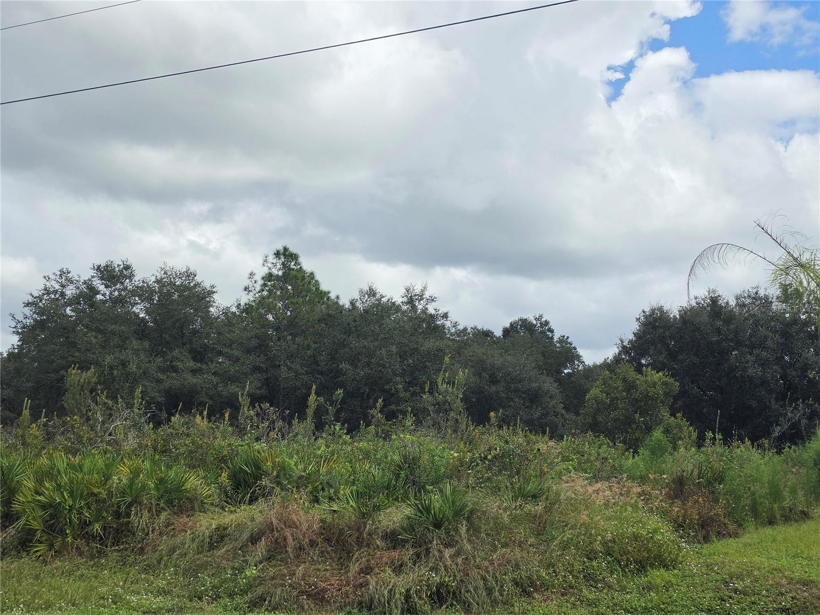 1514 RICHMOND AVENUE N, Lehigh Acres, FL 33972 1514 RICHMOND AVENUE N, Lehigh Acres, FL 33972