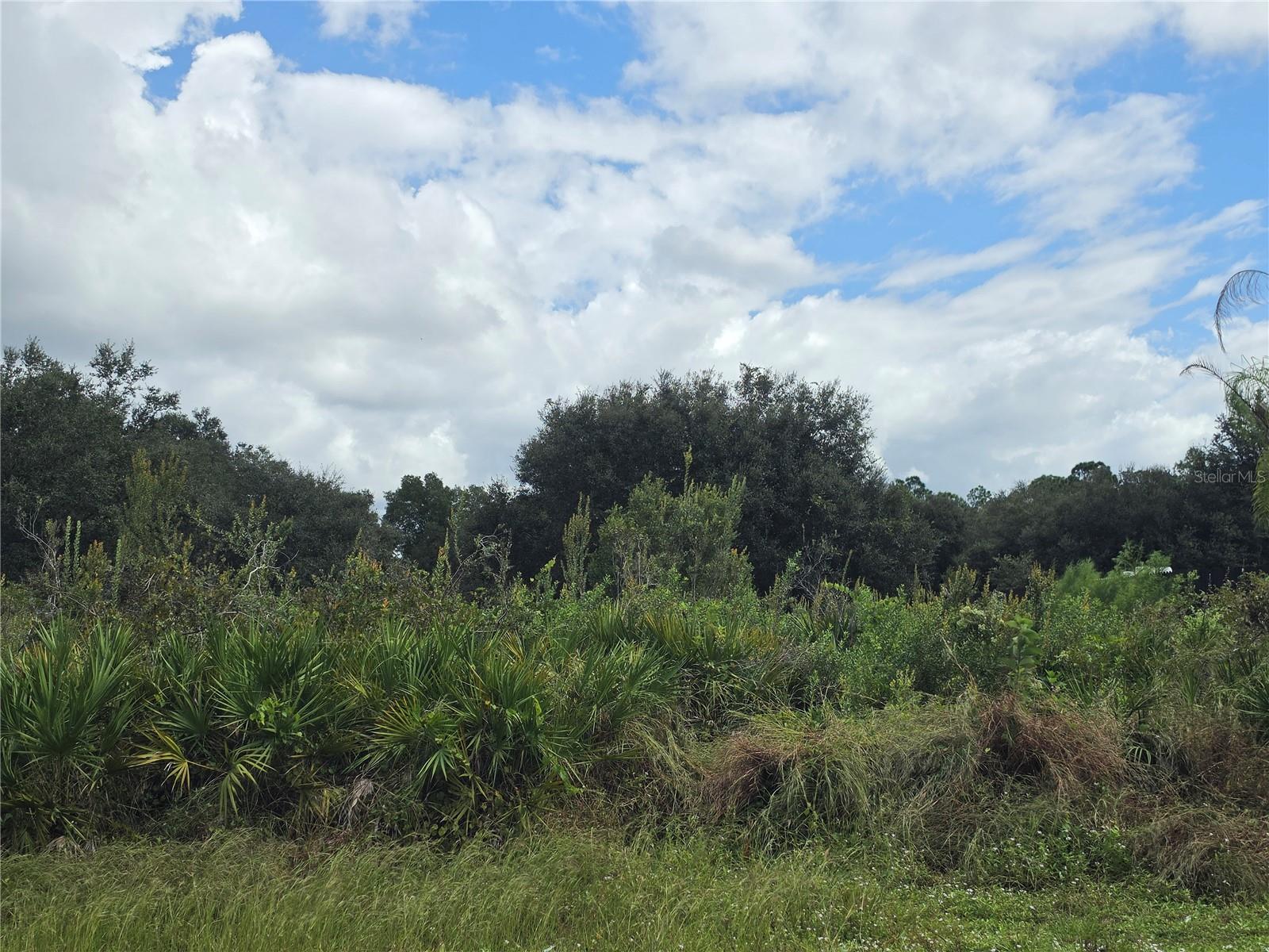 1514 RICHMOND AVENUE N, Lehigh Acres, FL 33972 1514 RICHMOND AVENUE N, Lehigh Acres, FL 33972