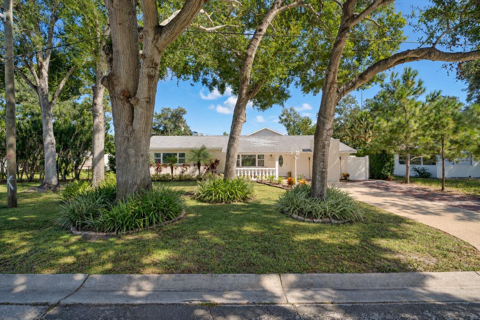 3219 46TH STREET N, St Petersburg, FL 33713