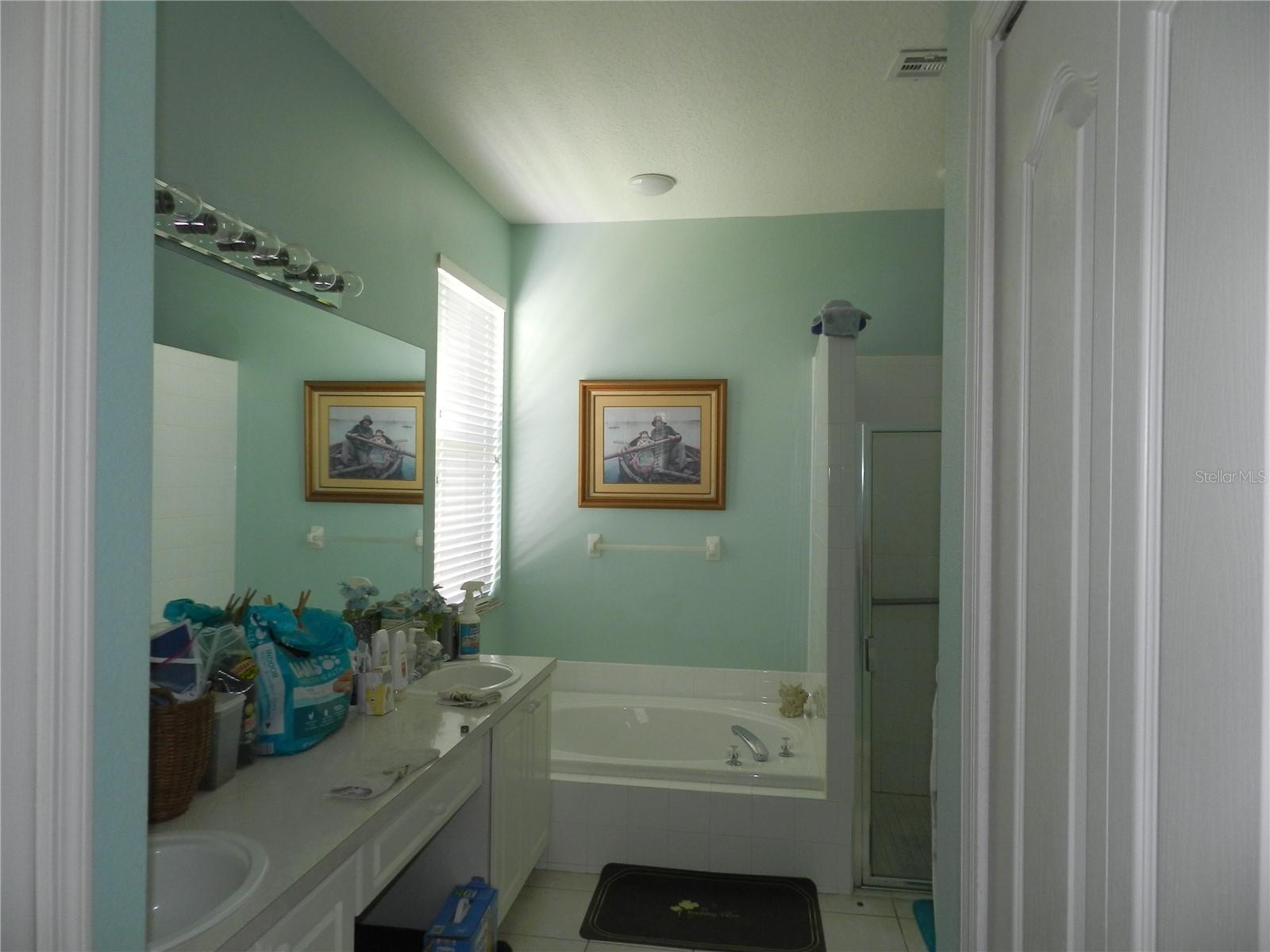 1040 FOX HOLLOW RUN, Dunedin, FL 34698
