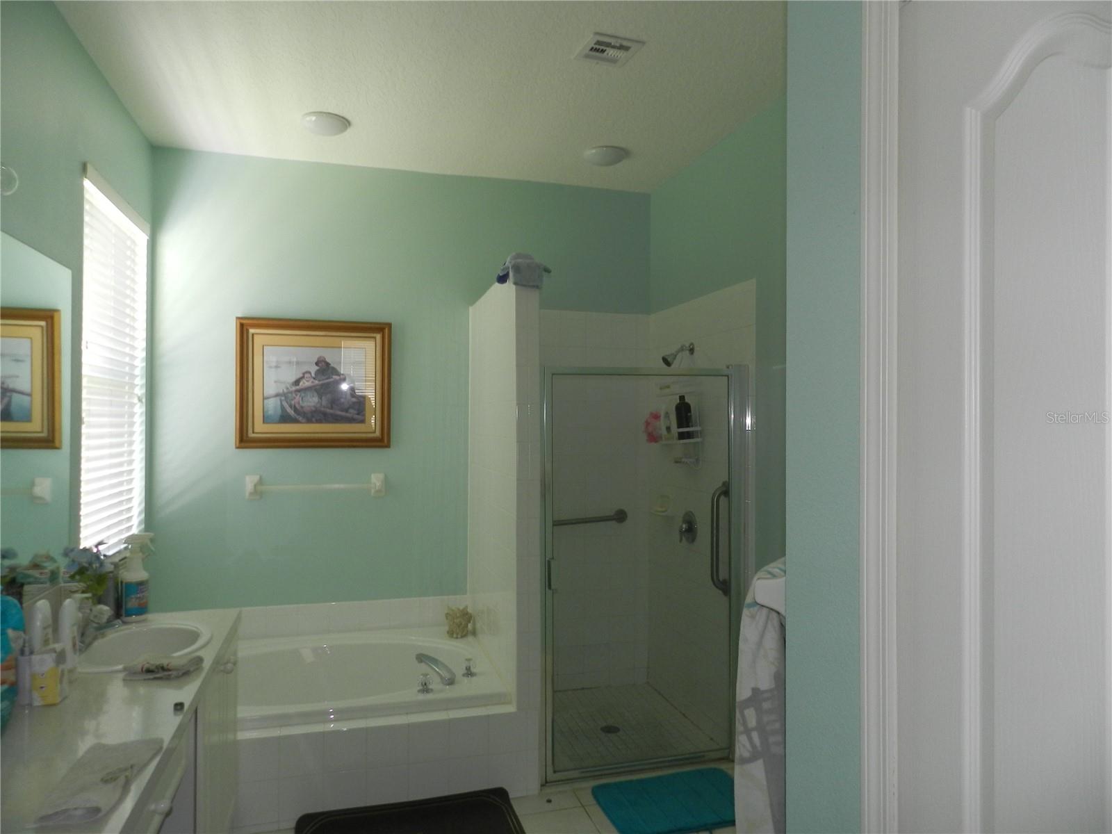 1040 FOX HOLLOW RUN, Dunedin, FL 34698