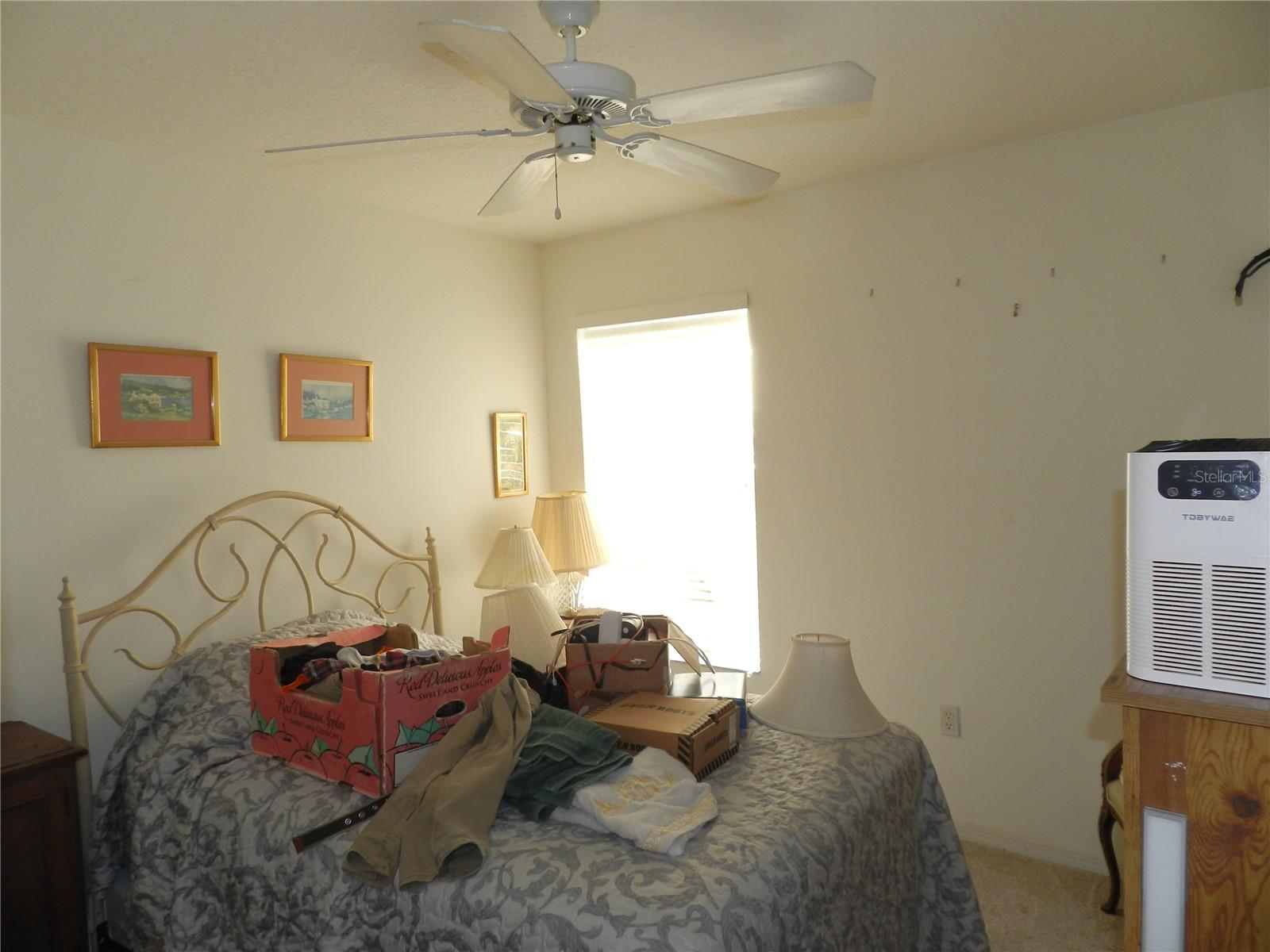 1040 FOX HOLLOW RUN, Dunedin, FL 34698