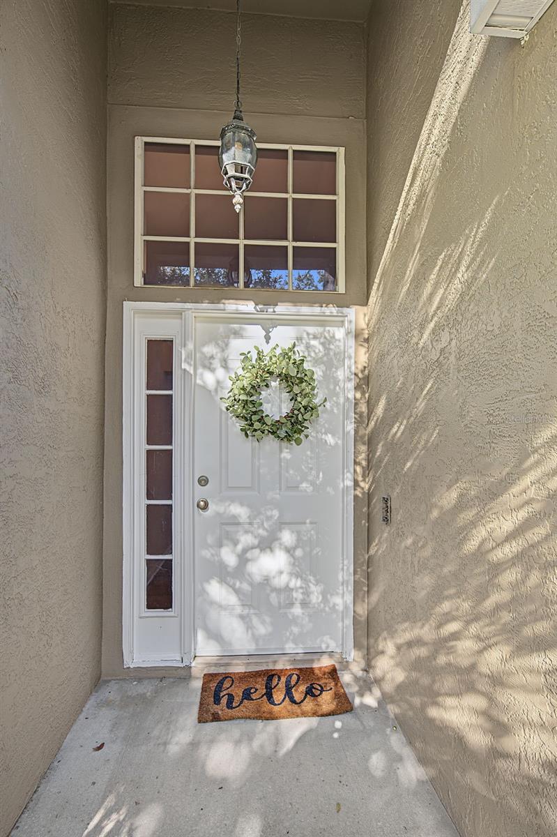 29947 MORNINGMIST DRIVE, Wesley Chapel, FL 33543