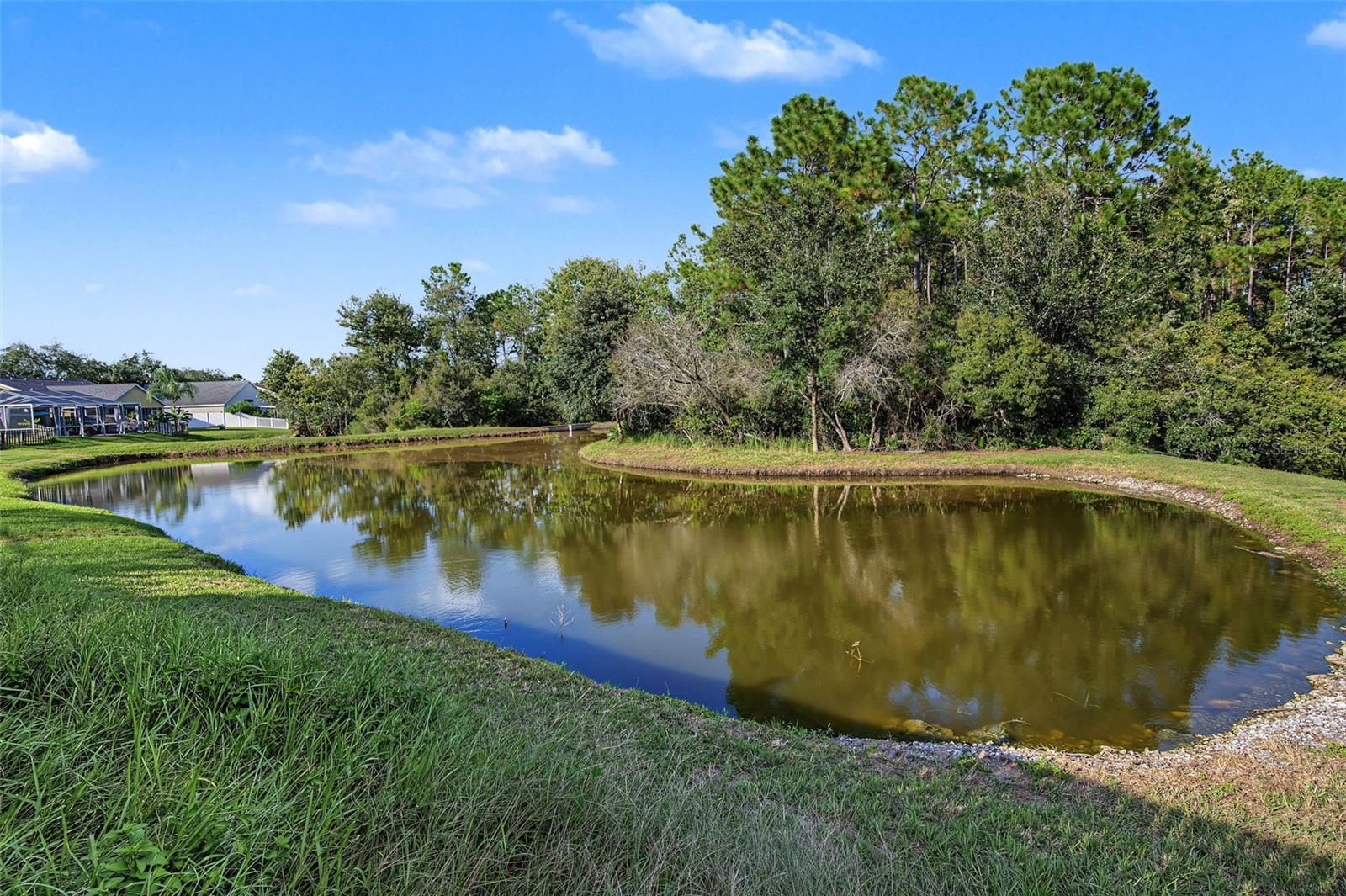 29947 MORNINGMIST DRIVE, Wesley Chapel, FL 33543