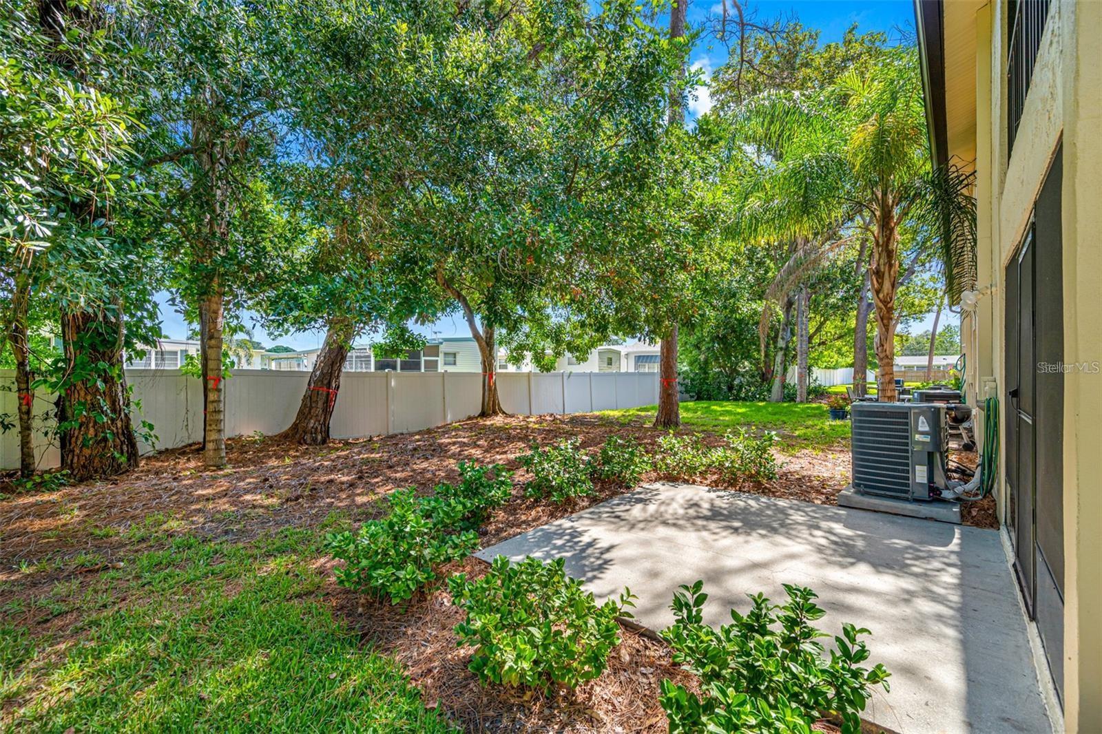 Lanscaped side yard