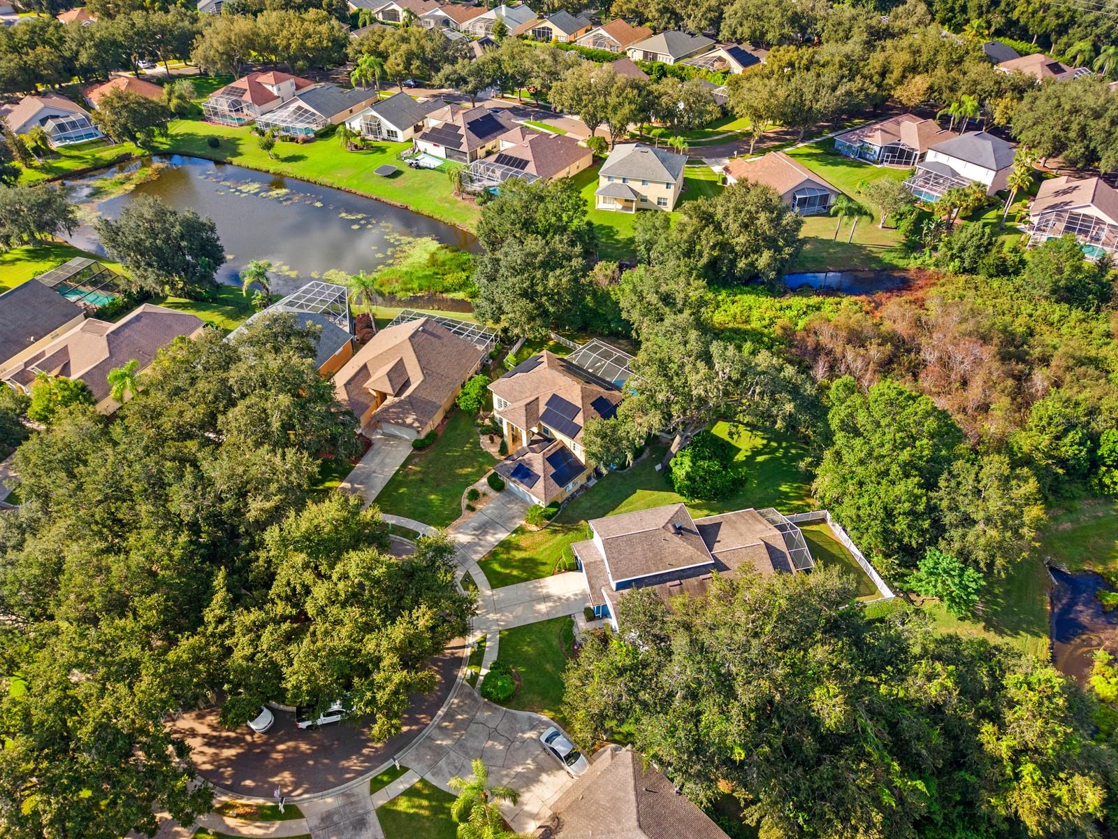 5436 TWIN CREEKS DRIVE, Valrico, FL 33596