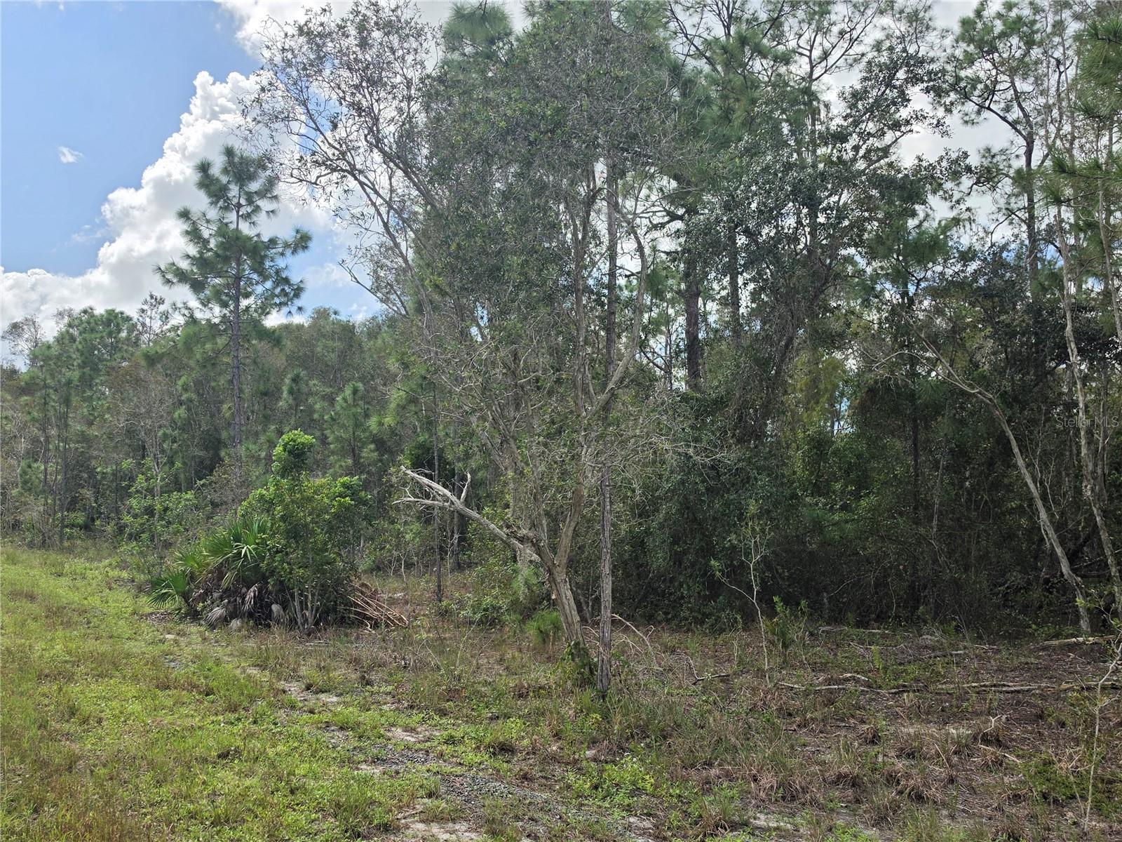 1012 KODIAK AVENUE, Lehigh Acres, FL 33974