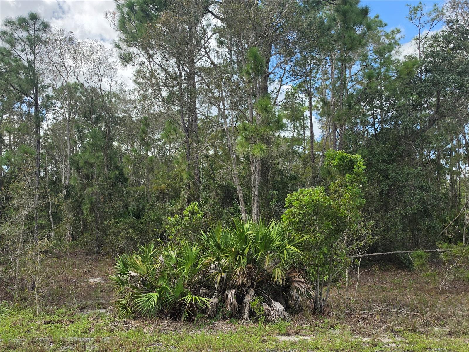 1012 KODIAK AVENUE, Lehigh Acres, FL 33974