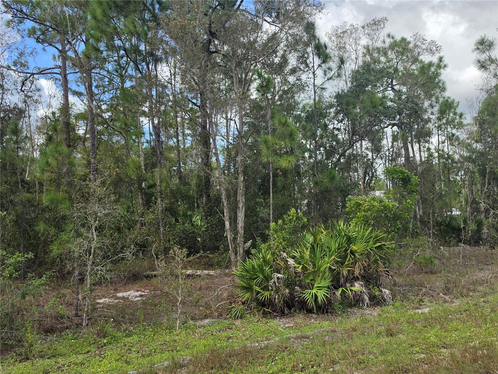 1012 KODIAK AVENUE, Lehigh Acres, FL 33974