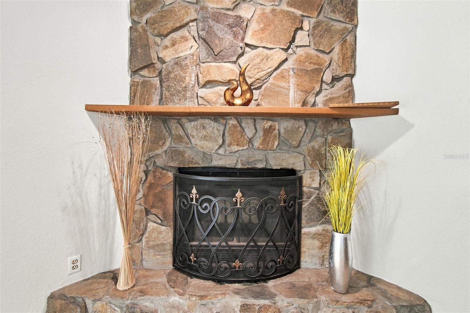 Wood burning fireplace